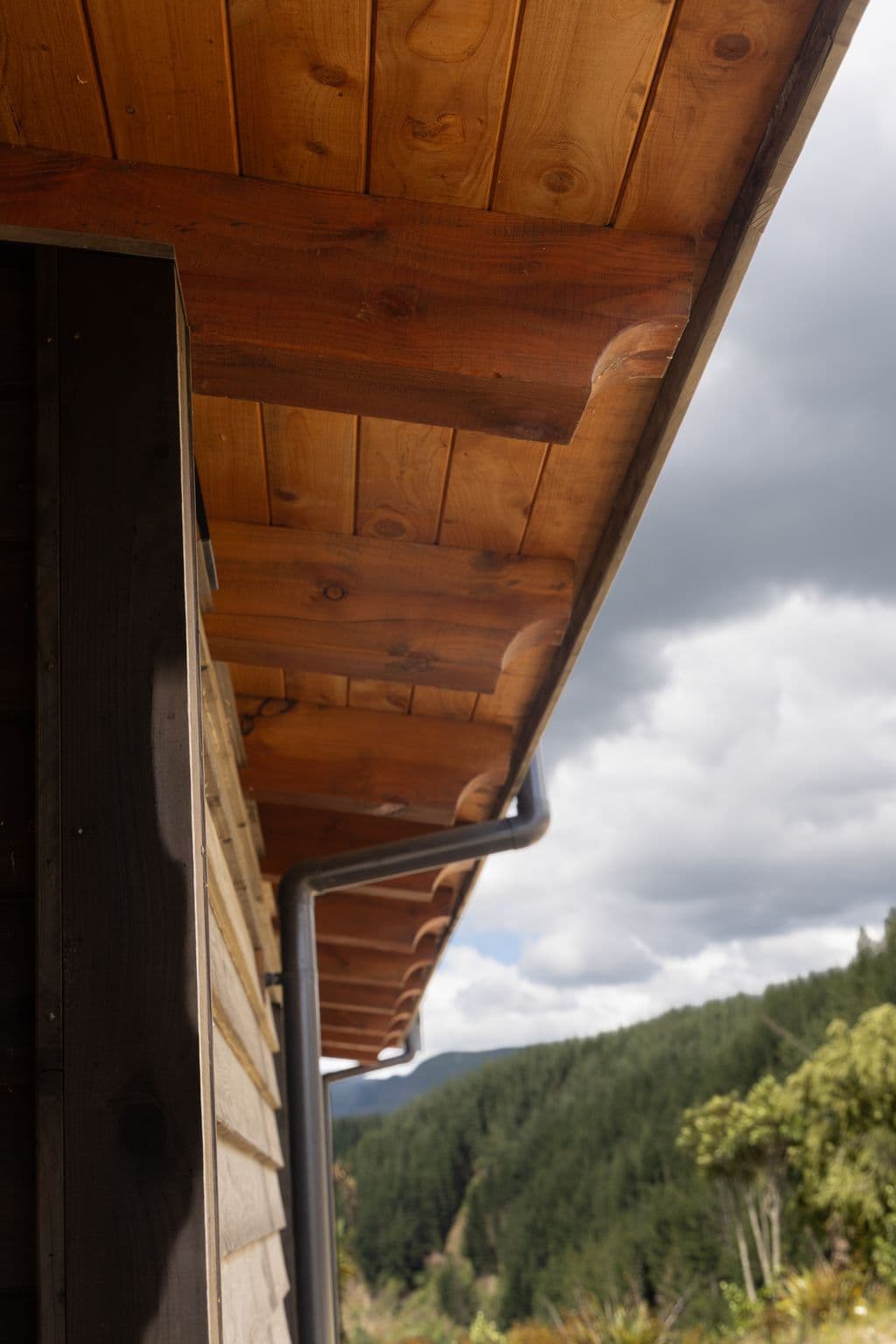 Barn home roof featuring untreated Douglas-fir
