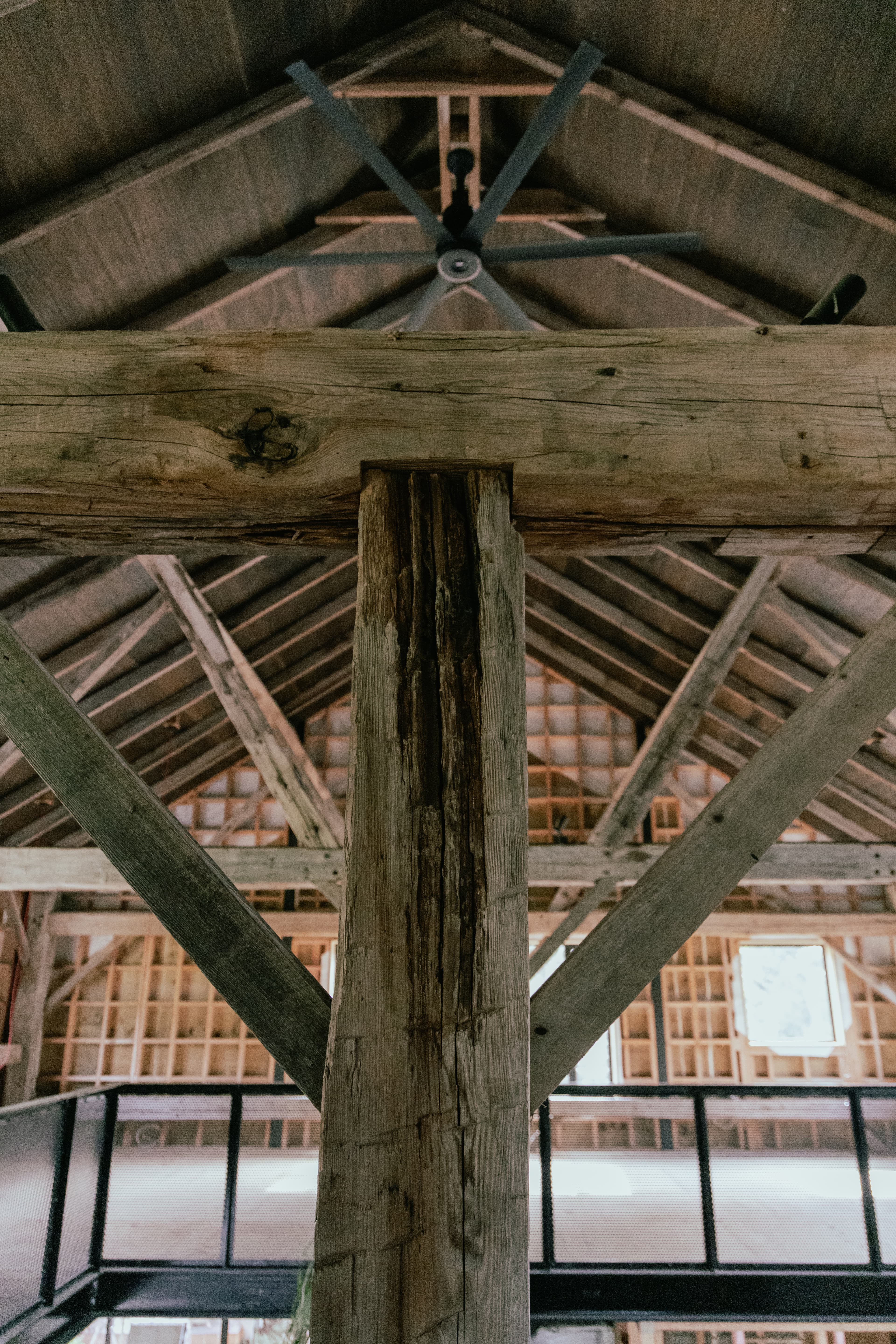 Auckland heritage barn restoration with modern architectural glazing and exposed timber beams