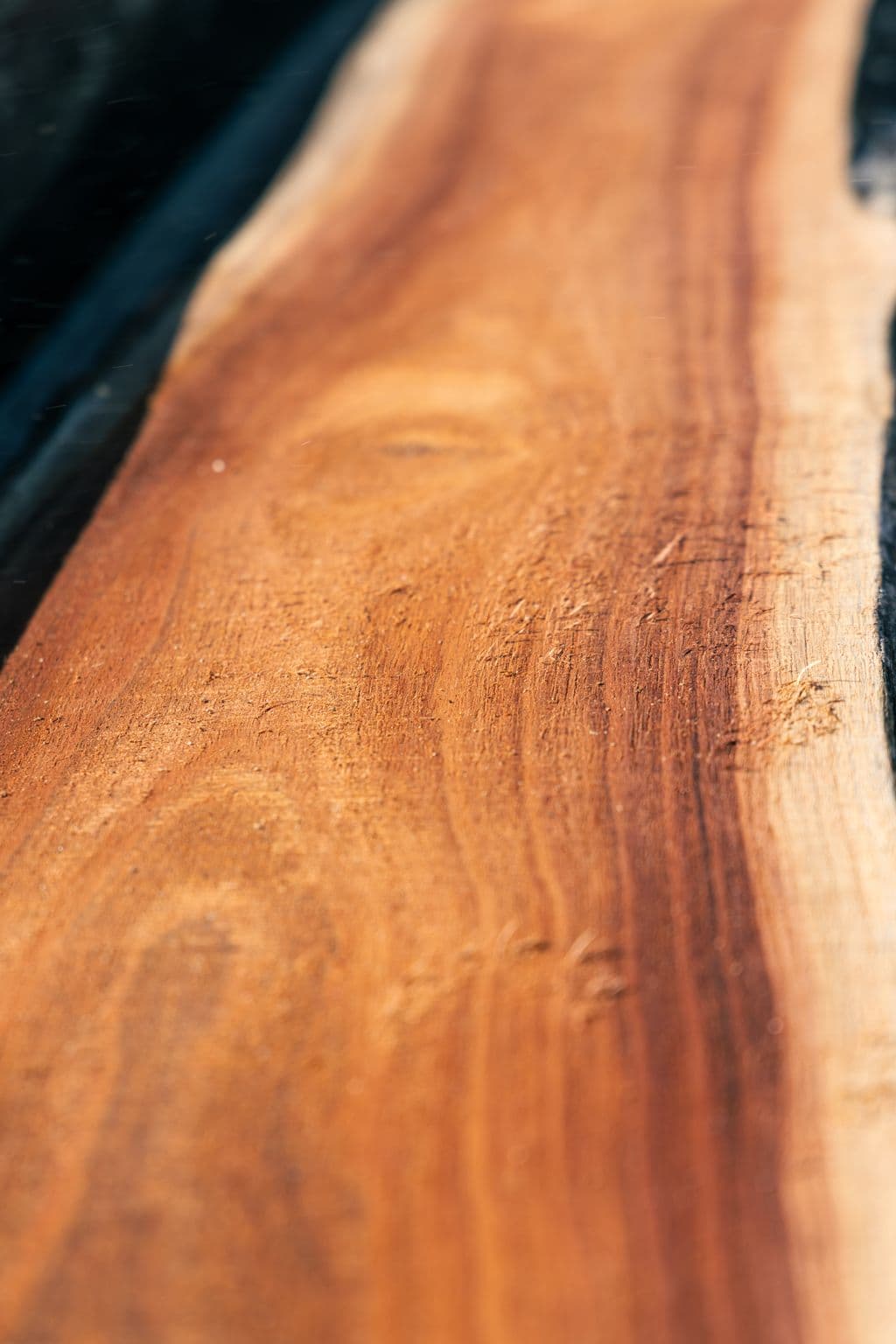 Tasmanian blackwood closeup of grain