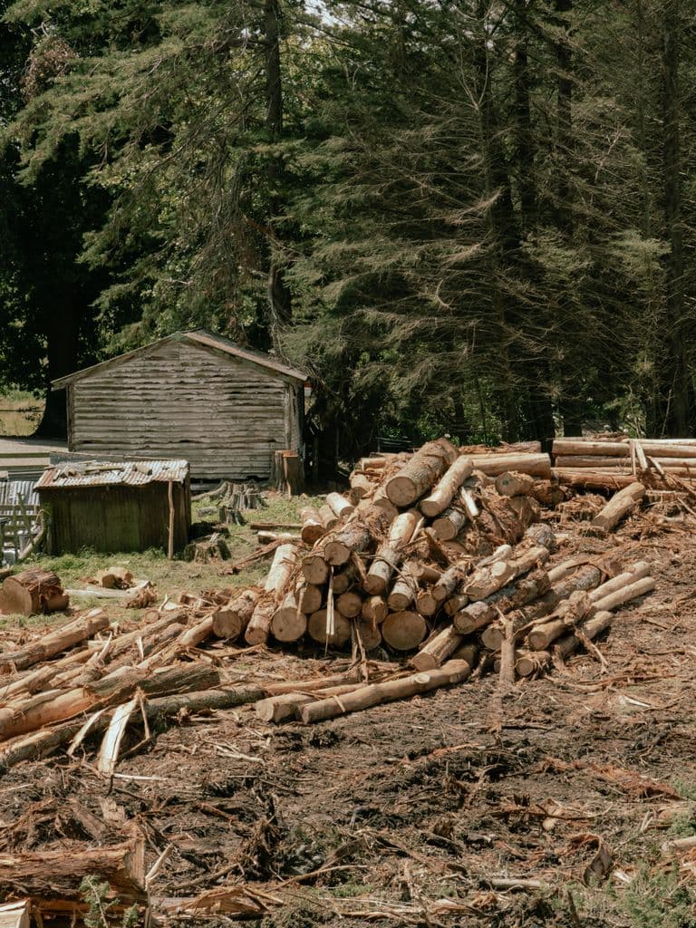 Sourcing premium NZ Grown timber for high-end barn home projects