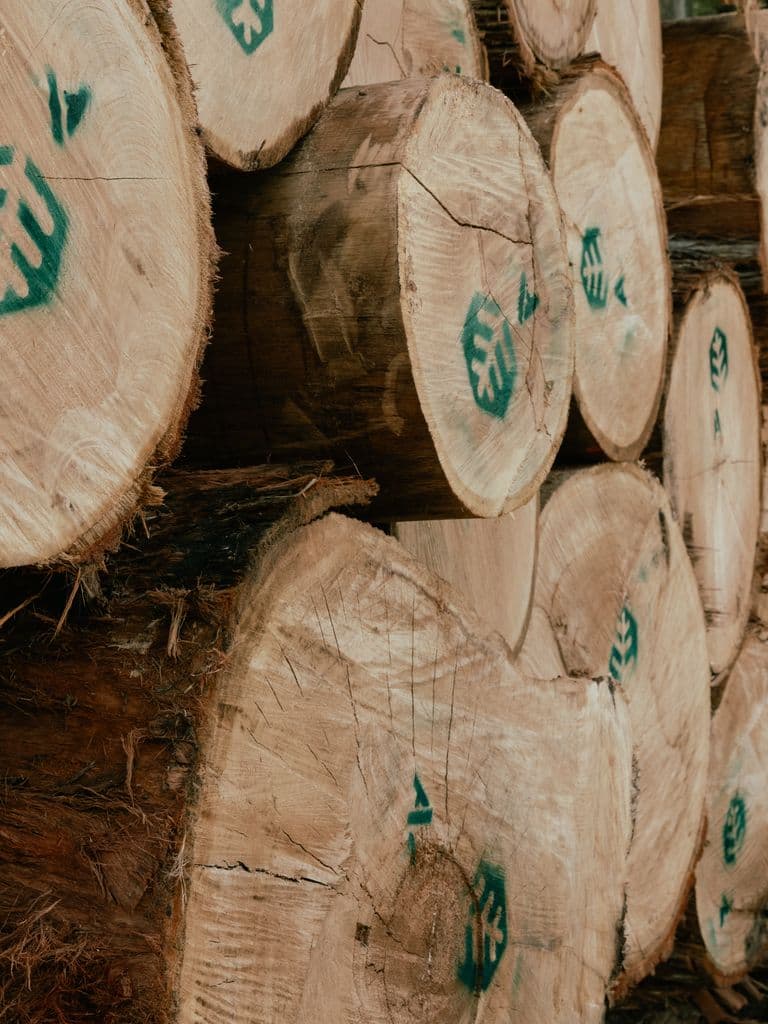 Sustainably harvested Douglas-fir from Hawke’s Bay farms for custom home building