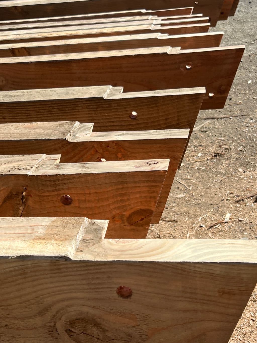 Premium grade exotic timbers grown in NZ ready for milling