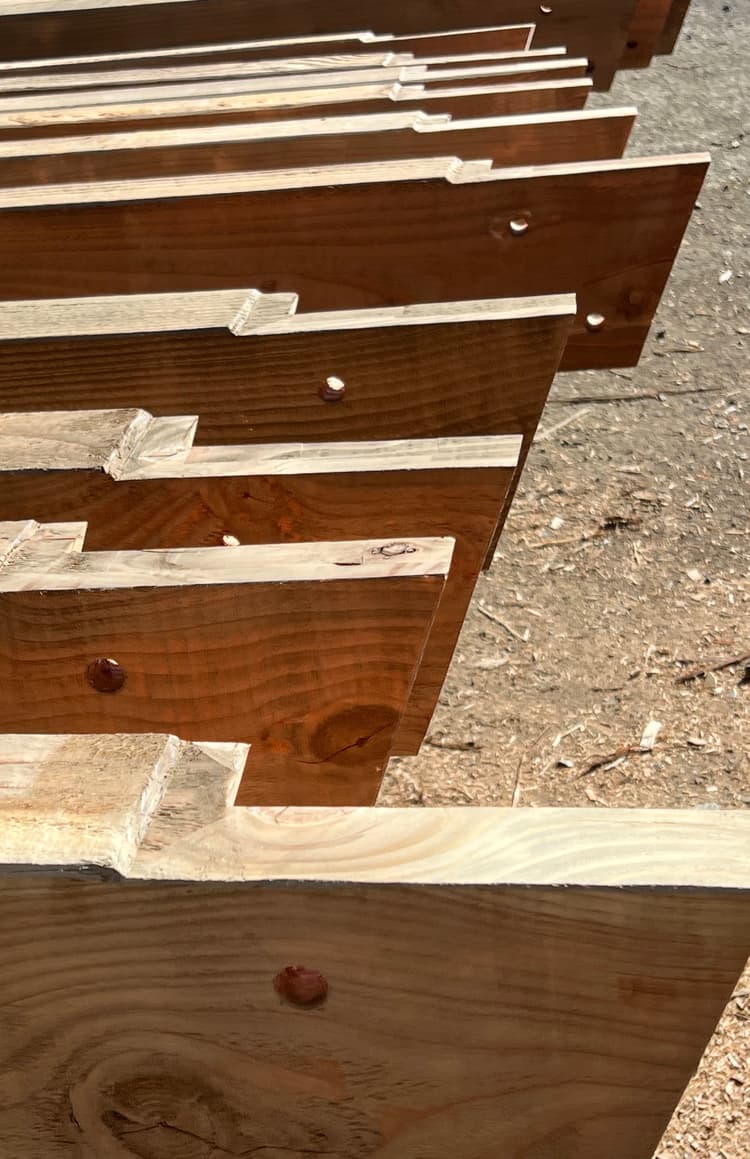 Premium grade exotic timbers grown in NZ ready for milling