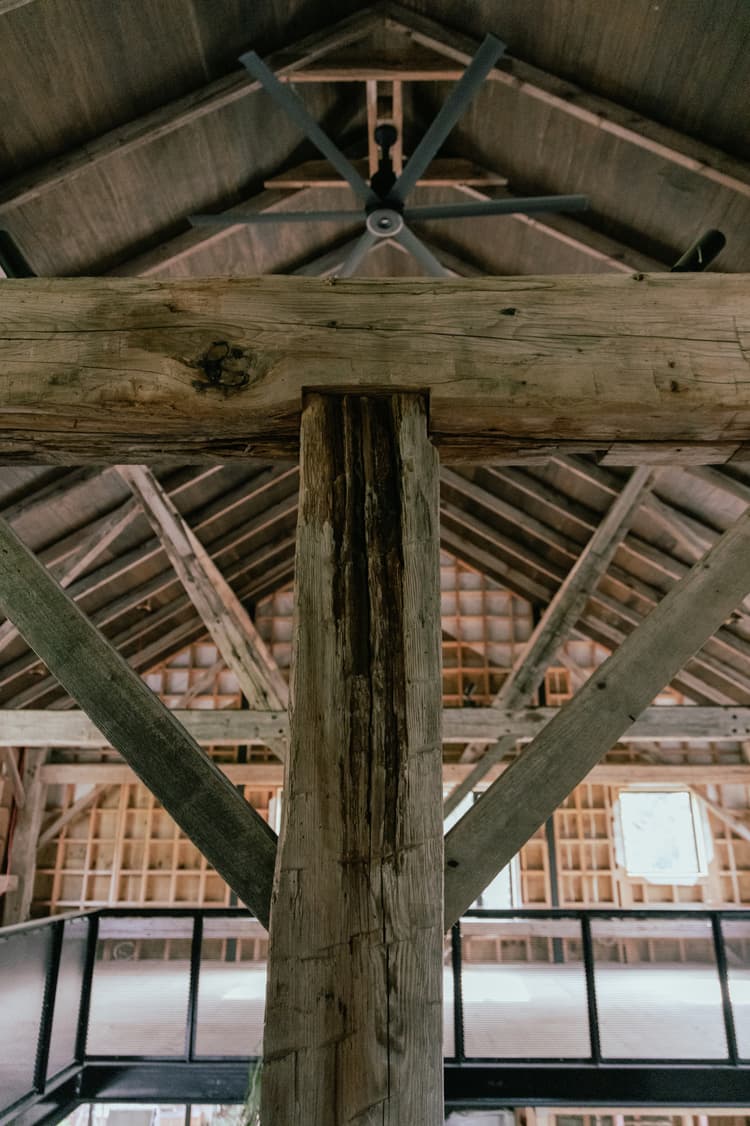 Auckland heritage barn restoration with modern architectural glazing and exposed timber beams