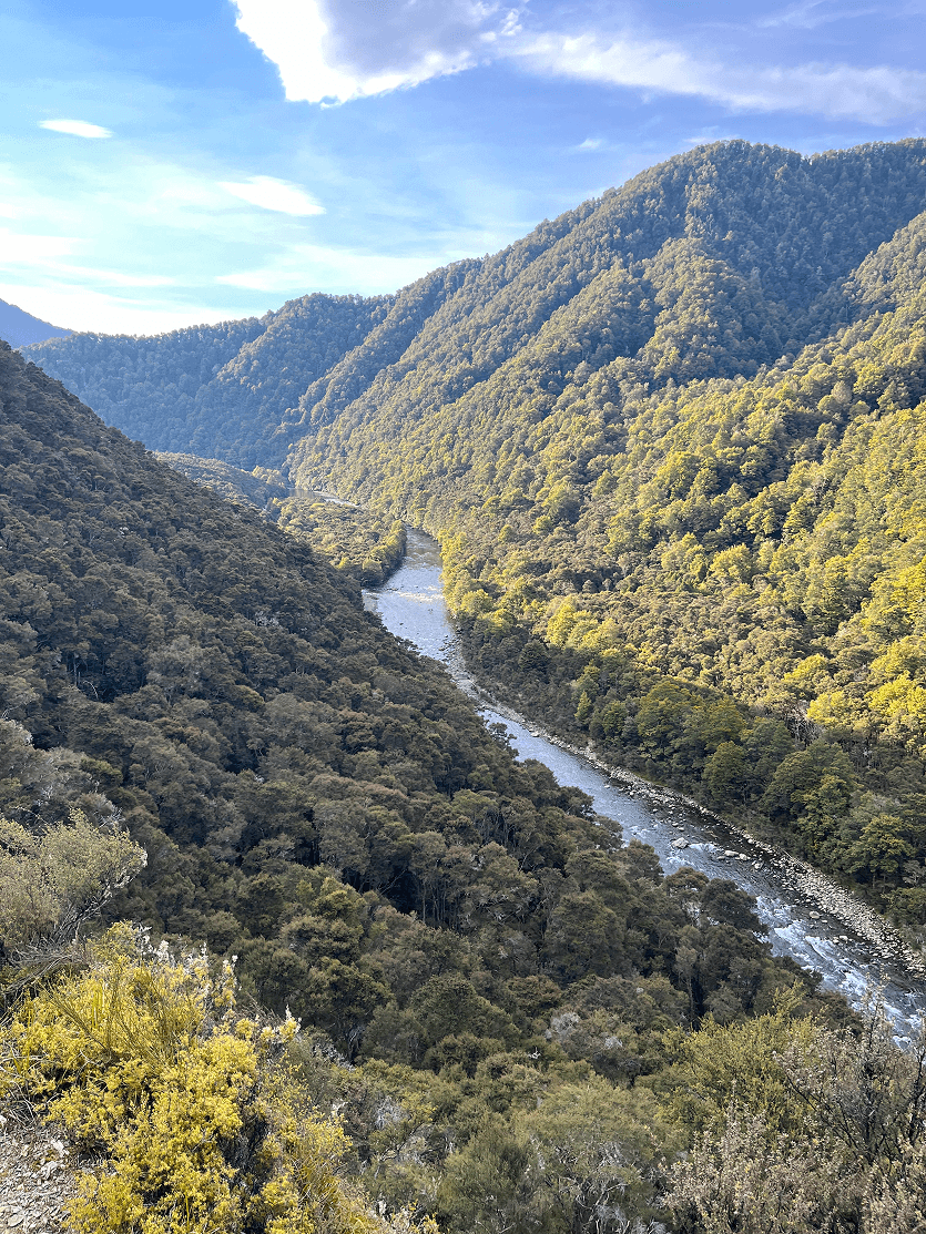 Mohaka River guided fly fishing